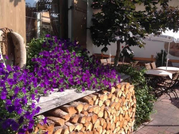 Restaurant Frühlingsgarten Hotel 3*